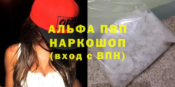 шишки Белокуриха