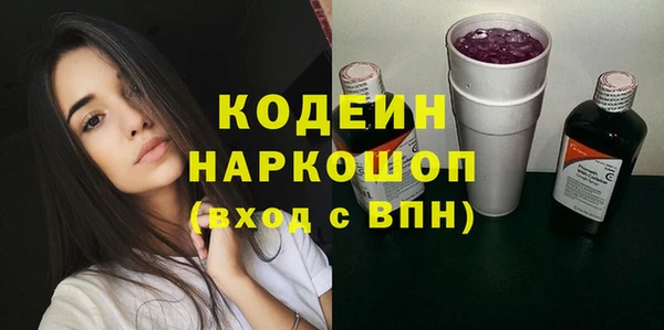 шишки Белокуриха