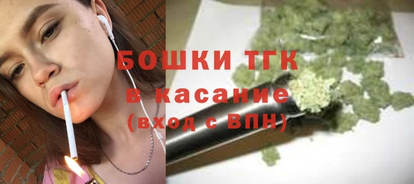 шишки Белокуриха