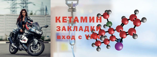 шишки Белокуриха