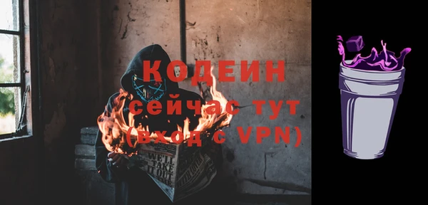 шишки Белокуриха