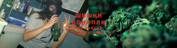 шишки Белокуриха
