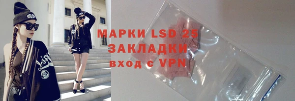 шишки Белокуриха
