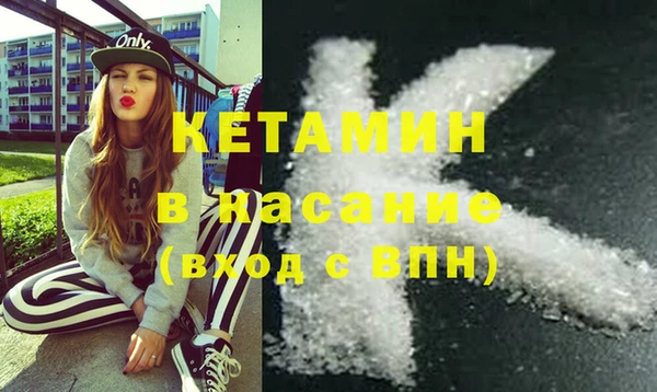шишки Белокуриха