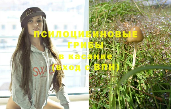 шишки Белокуриха