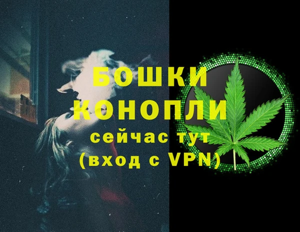 шишки Белокуриха