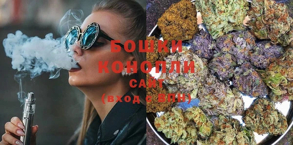 шишки Белокуриха