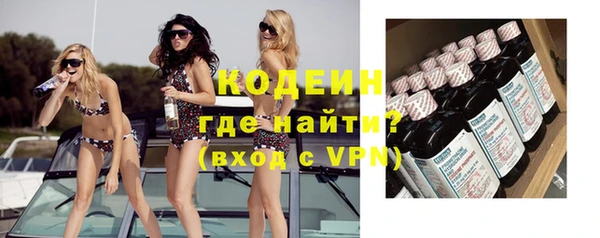 шишки Белокуриха