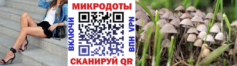 наркота  Ворсма  Псилоцибиновые грибы Psilocybine cubensis 